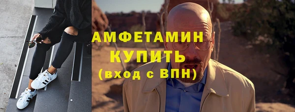прущие грибы Балабаново
